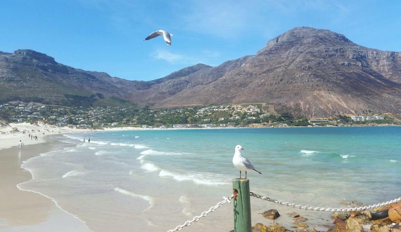Hout Bay Beach Cottage Kültér fotó